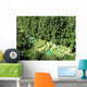Semuc Champey Vu Du Wall Decal