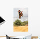 Motorcross Motorcycle Rider Flying through Air Wall Mural