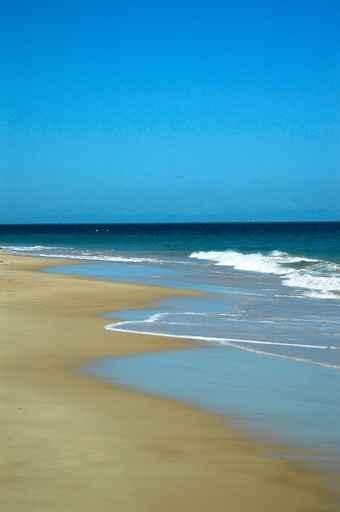 Beach Wall Decal Design 5