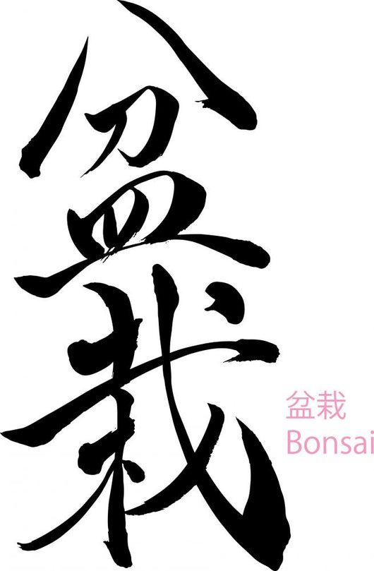 Japanese Calligraphy Bonsai