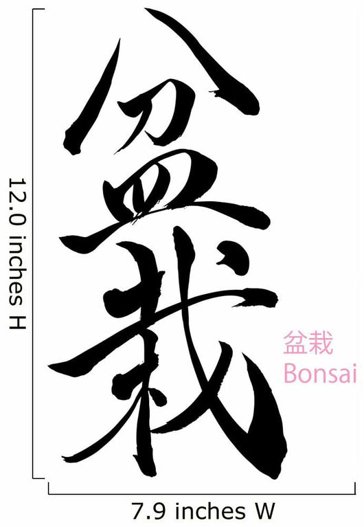 Japanese Calligraphy Bonsai