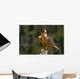 Peregrine Falcon Wall Mural