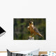 Peregrine Falcon Wall Mural