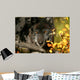 Black Wolf Wall Decal