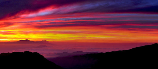 Sunrise Wall Mural