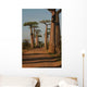 Baobabs Wall Mural