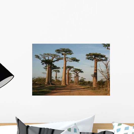 Allee Des Baobabs Wall Decal Design 4