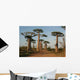 Allee Des Baobabs Wall Decal Design 4