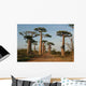 Allee Des Baobabs Wall Decal Design 4