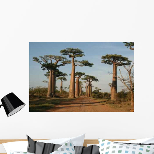 Allee Des Baobabs Wall Decal Design 4
