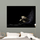 Carnival Mask Black Wall Decal Design 2