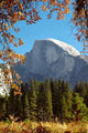 Half Dome Autumn Wall Decal