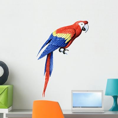 Bird Parrot Macaw Wall Decal shown on a wall