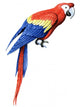 Bird Parrot Macaw Wall Decal