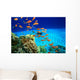 Coral Reef and Scuba Diver Wall Mural