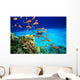 Coral Reef and Scuba Diver Wall Mural