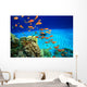 Coral Reef and Scuba Diver Wall Mural