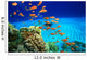Coral Reef and Scuba Diver Wall Mural