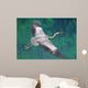 Heron