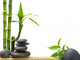 Spa Wall Mural