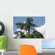 Park Sepilok Borneo Wall Decal Design 2