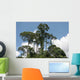 Park Sepilok Borneo Wall Decal Design 2