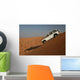 W Stenrennen Wall Decal
