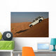 W Stenrennen Wall Decal