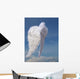Angel  Wings Wall Mural