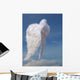 Angel  Wings Wall Mural