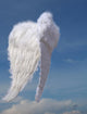 Angel  Wings Wall Mural