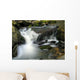 Cascade Torrent Wall Decal