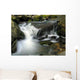 Cascade Torrent Wall Decal