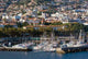 Madeira's Port Funchal Wall Mural