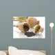 dried poppy Wall Mural