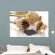 dried poppy Wall Mural