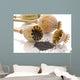 dried poppy Wall Mural