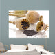 dried poppy Wall Mural