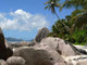 Paradise Beach Wall Decal Design 4
