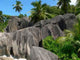 Rocks and Palms Wall Decal