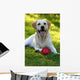 Happy Dog Face Wall Mural