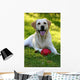 Happy Dog Face Wall Mural