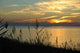 Chesapeake Sunset Wall Decal Design 2