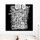 UFO - Unidentified Flying Object Wall Mural