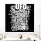 UFO - Unidentified Flying Object Wall Mural