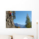 Girl Climbing Wall Mural