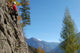 Girl Climbing Wall Mural