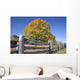 fall meadow Wall Mural