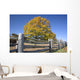 fall meadow Wall Mural