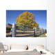 fall meadow Wall Mural